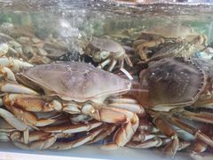 -欧记·龙城港(欣都店)