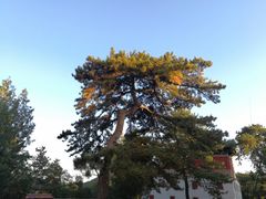 -普陀宗乘之庙(小布达拉宫)