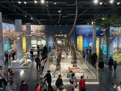 -国家自然博物馆