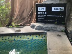 -海口观澜湖火山温泉谷