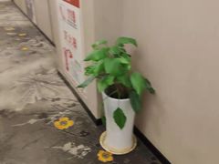 -花居轻奢酒店(苏州观前拙政园店)