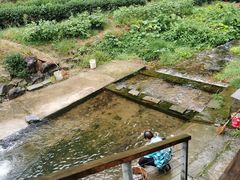 -龙坞茶村