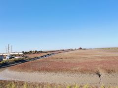 -红海滩国家风景廊道