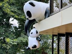 -嫩芽 ·地道重庆菜(十八梯露台夜景店)