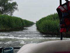 -白洋淀景区