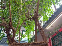 -小街47號江湖菜(四合院店)