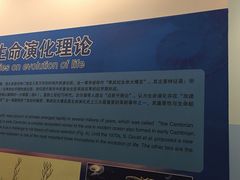 -辽宁古生物博物馆