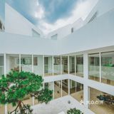 藏在郊野的小白楼 宝藏打卡地