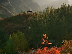 -周口店坡峰岭风景区