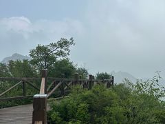 -大岭沟猕猴桃谷风景区