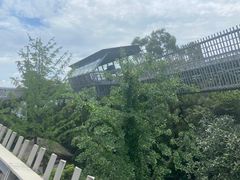 -梅峰山地公园