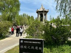 -曹州牡丹园
