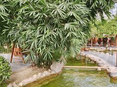 -兴芮温泉度假区