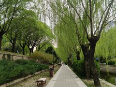 -元大都城垣遗址公园