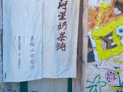 -东极岛景区