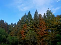 -山王坪喀斯特国家生态公园