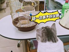 -瑞派动物医院·猫专科·至诚(江南中分院)