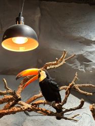 -Zoolung Zoolung动物主题公园(海信广场店)