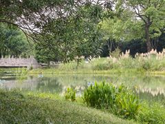 -长广溪湿地公园