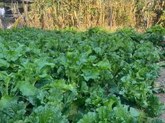 -百里峡七彩艺术小镇