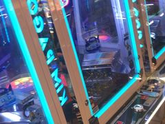 -汤姆熊欢乐世界(罗斯福店)