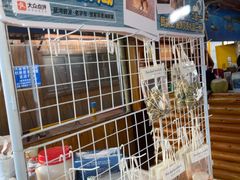 -蓝湾碧波·老字号·疍家非遗海上餐厅