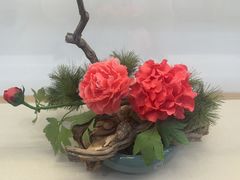 -曹州牡丹园