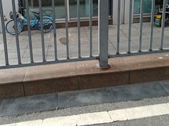 -巢爷老味(东方红店)