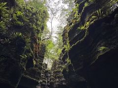 -梭布垭石林景区