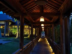 -东园小馆·早茶·淮扬小炒(宋夹城店)