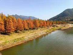 -派斯俊·本味(解放南路店)