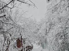 -峨眉山风景名胜区
