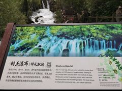 -九寨沟-树正沟