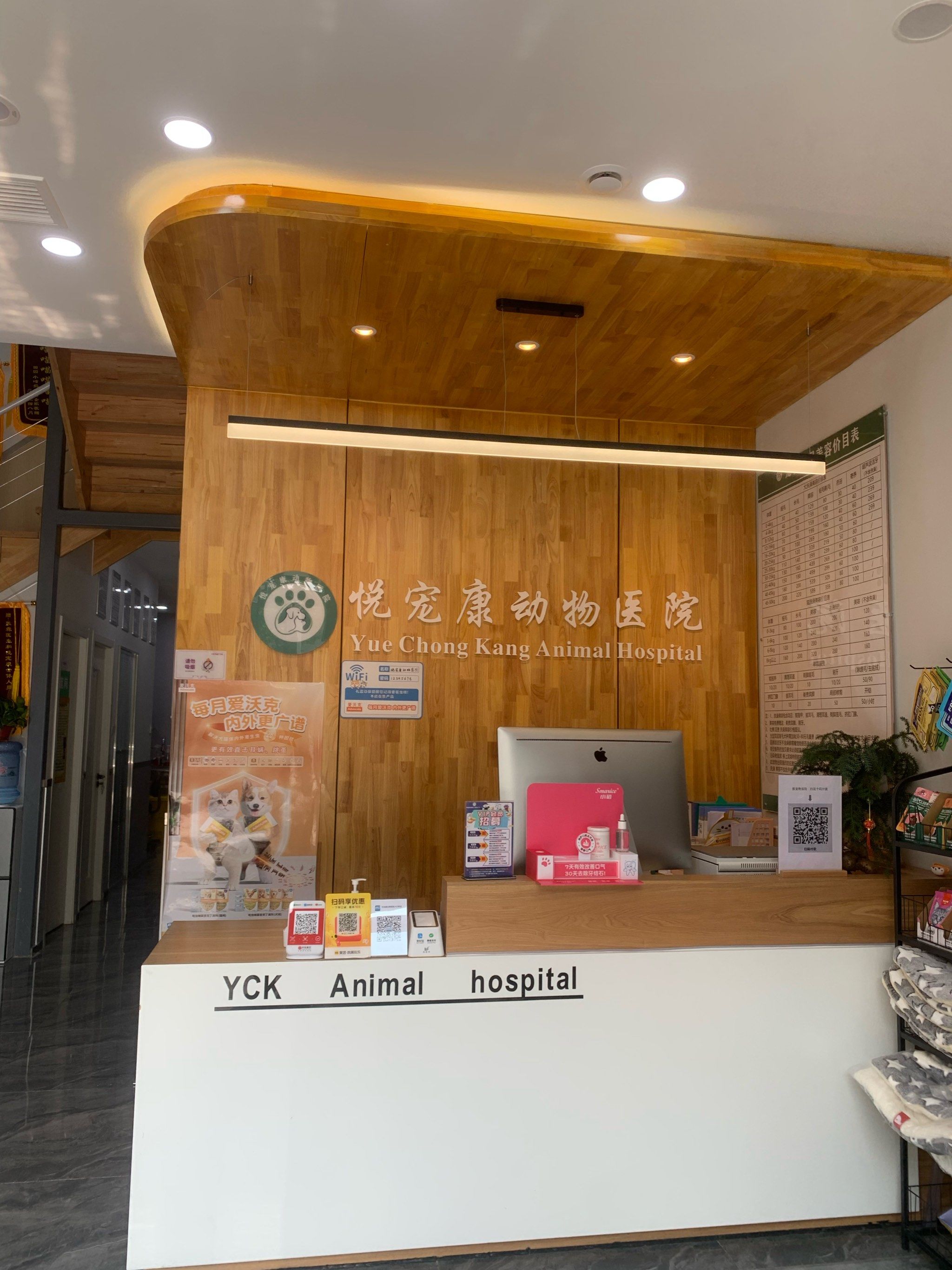 医疗美容 #悦宠康动物医院大白杨 
在路边捡了一个小猫,想着做个