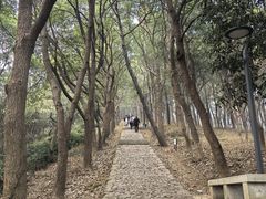 -雨花胜境