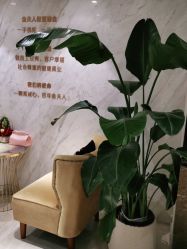-金夫人美容