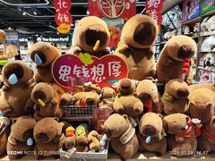 -凯德MALL(望京店)