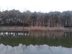 -新江湾城公园