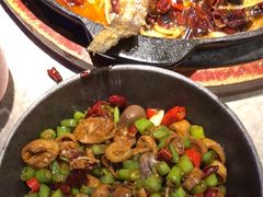 -老板恋上鱼(恒隆广场店)