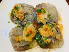 小带子螺-百鱼庄(仙葫店)