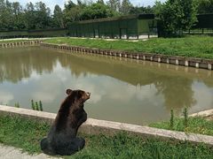 -上海野生动物园