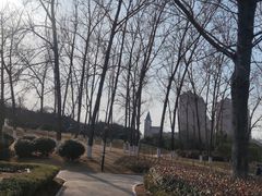 -沙澧河风景区