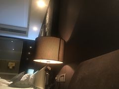 -常州环球恐龙城维景国际大酒店