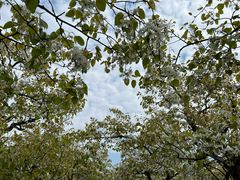 -江苏三台山国家森林公园