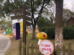 -上海都市菜园