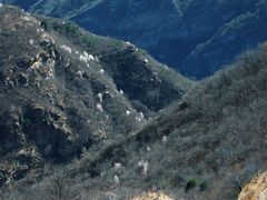 -龙云山风景区-鹿皮关长城