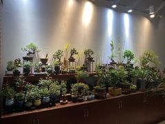 -双季花艺园艺市场(浦东店)