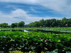 -长春市南湖公园