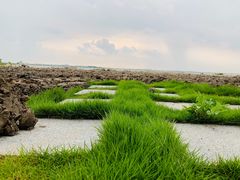 -七的湖·晚芳亭·阳澄湖农家菜·大闸蟹(莲花岛店)