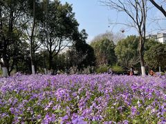 -钟山体育运动公园